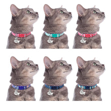 Load image into Gallery viewer, Custom Safety Cat Collar Personalized Cute Kitten Puppy Collars with Bell Name Tag Nylon Print Pet Cats Necklace Accessories
