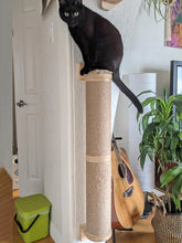 Load image into Gallery viewer, Wall Mounted Cat Scratching Post Wall Furniture Wood Kitten Scratcher Tree for Large Cats Thicker Columns for Multi-Functions
