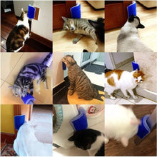 Load image into Gallery viewer, Cat Scratcher Massager for Cats Scratching Pets Brush Remove Hair Comb Grooming Table Dogs Kitten Care Royal Canin Accessories
