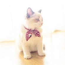 Load image into Gallery viewer, Cat Collar Bow Bowtie Cat Collar for Cats and Small Dogs Accessories Cat-Collar Kitten Pet Products Chihuahua Bow Tie Necklace
