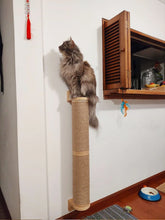 Load image into Gallery viewer, Wall Mounted Cat Scratching Post Wall Furniture Wood Kitten Scratcher Tree for Large Cats Thicker Columns for Multi-Functions
