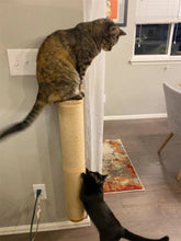 Load image into Gallery viewer, Wall Mounted Cat Scratching Post Wall Furniture Wood Kitten Scratcher Tree for Large Cats Thicker Columns for Multi-Functions
